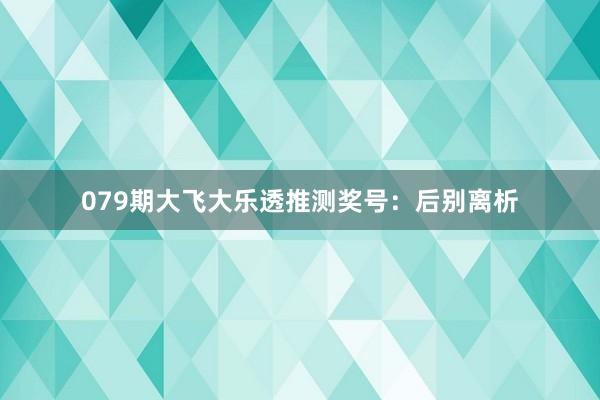 079期大飞大乐透推测奖号：后别离析
