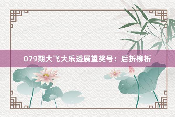 079期大飞大乐透展望奖号：后折柳析