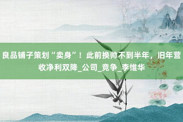 良品铺子策划“卖身”！此前换帅不到半年，旧年营收净利双降_公司_竞争_李维华
