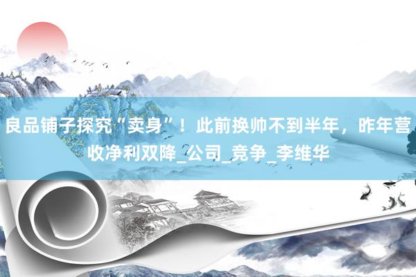 良品铺子探究“卖身”！此前换帅不到半年，昨年营收净利双降_公司_竞争_李维华