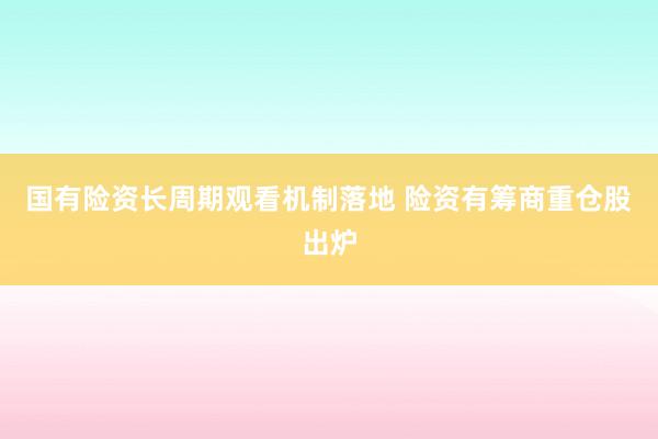 国有险资长周期观看机制落地 险资有筹商重仓股出炉