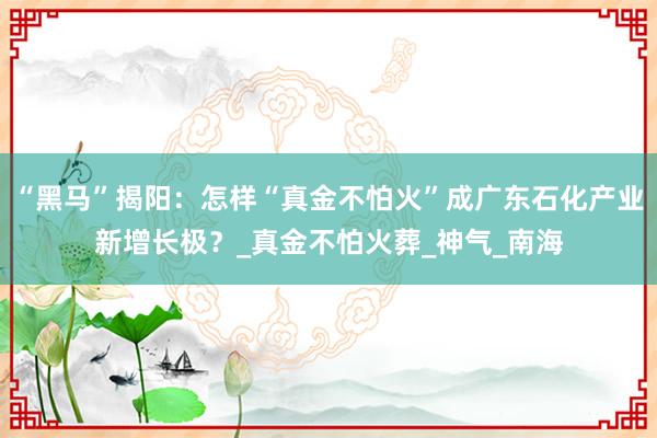 “黑马”揭阳：怎样“真金不怕火”成广东石化产业新增长极？_真金不怕火葬_神气_南海