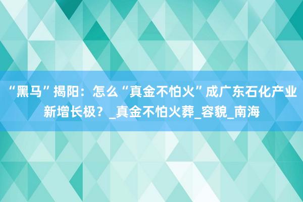 “黑马”揭阳：怎么“真金不怕火”成广东石化产业新增长极？_真金不怕火葬_容貌_南海