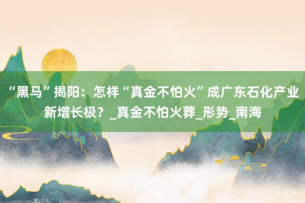 “黑马”揭阳：怎样“真金不怕火”成广东石化产业新增长极？_真金不怕火葬_形势_南海