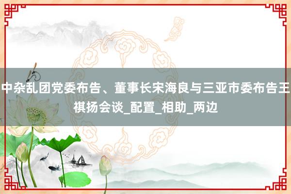 中杂乱团党委布告、董事长宋海良与三亚市委布告王祺扬会谈_配置_相助_两边