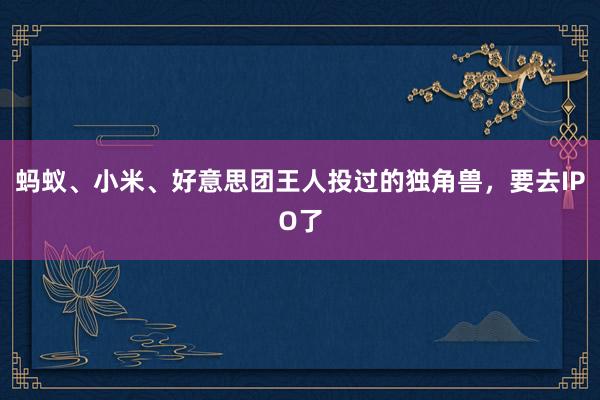 蚂蚁、小米、好意思团王人投过的独角兽，要去IPO了