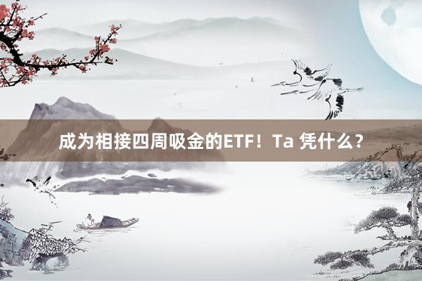 成为相接四周吸金的ETF！Ta 凭什么？