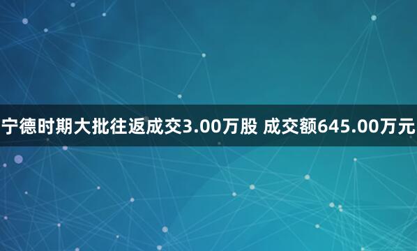 宁德时期大批往返成交3.00万股 成交额645.00万元