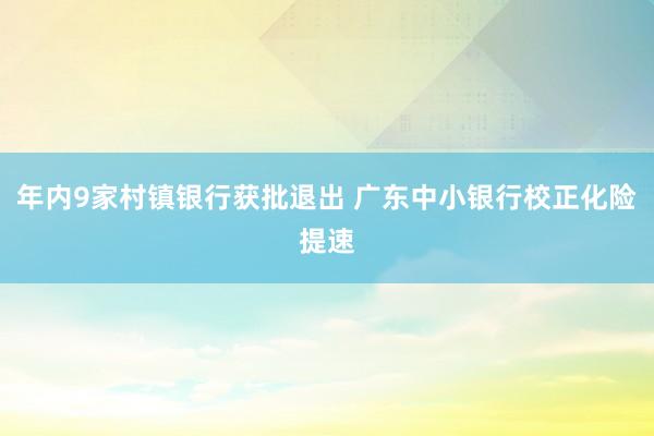 年内9家村镇银行获批退出 广东中小银行校正化险提速