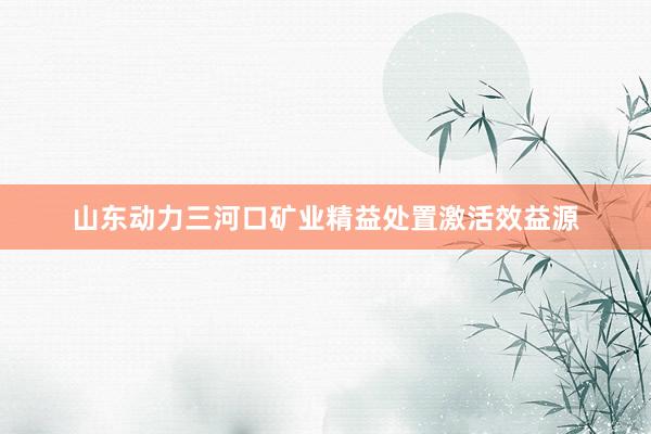 山东动力三河口矿业精益处置激活效益源