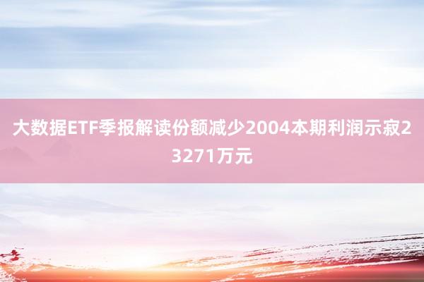 大数据ETF季报解读份额减少2004本期利润示寂23271万元