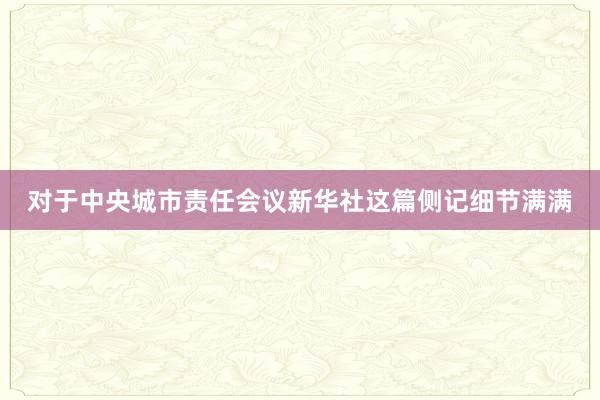 对于中央城市责任会议新华社这篇侧记细节满满