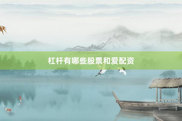 杠杆有哪些股票和爱配资