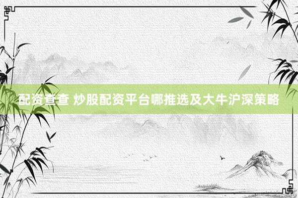 配资查查 炒股配资平台哪推选及大牛沪深策略