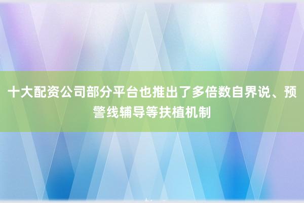 十大配资公司部分平台也推出了多倍数自界说、预警线辅导等扶植机制