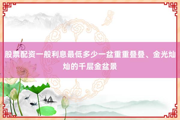 股票配资一般利息最低多少一盆重重叠叠、金光灿灿的千层金盆景