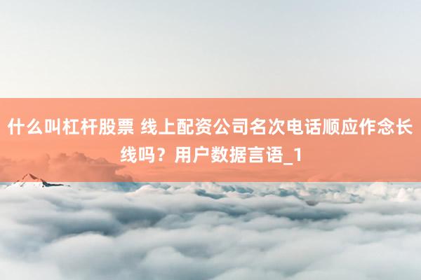 什么叫杠杆股票 线上配资公司名次电话顺应作念长线吗？用户数据言语_1