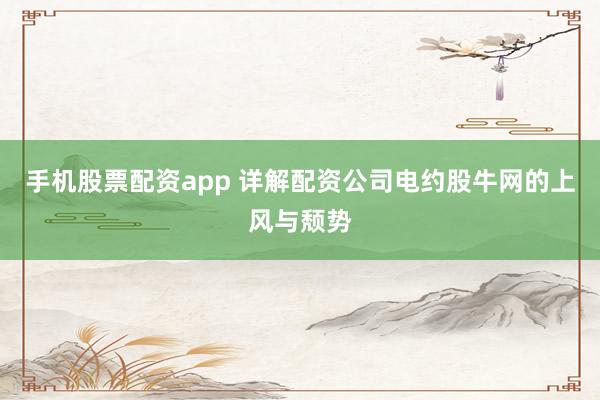 手机股票配资app 详解配资公司电约股牛网的上风与颓势