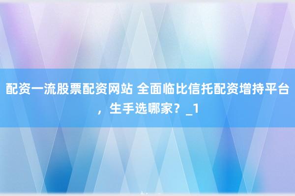 配资一流股票配资网站 全面临比信托配资增持平台，生手选哪家？_1
