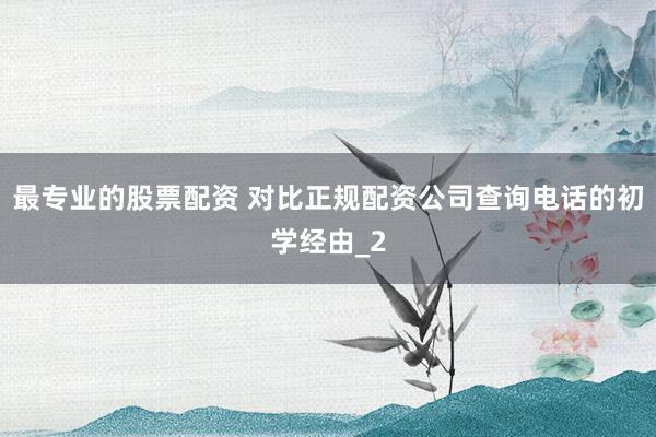 最专业的股票配资 对比正规配资公司查询电话的初学经由_2