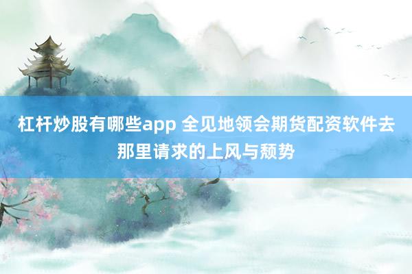 杠杆炒股有哪些app 全见地领会期货配资软件去那里请求的上风与颓势