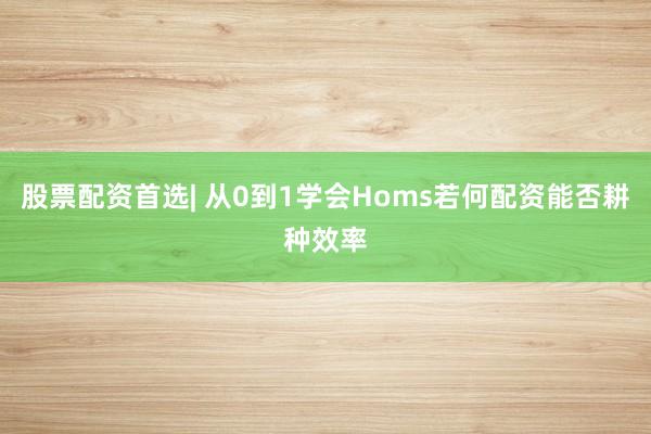 股票配资首选| 从0到1学会Homs若何配资能否耕种效率